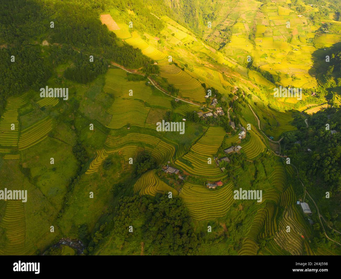 Aerial view of golden rice terraces at Mu cang chai town near Sapa city ...