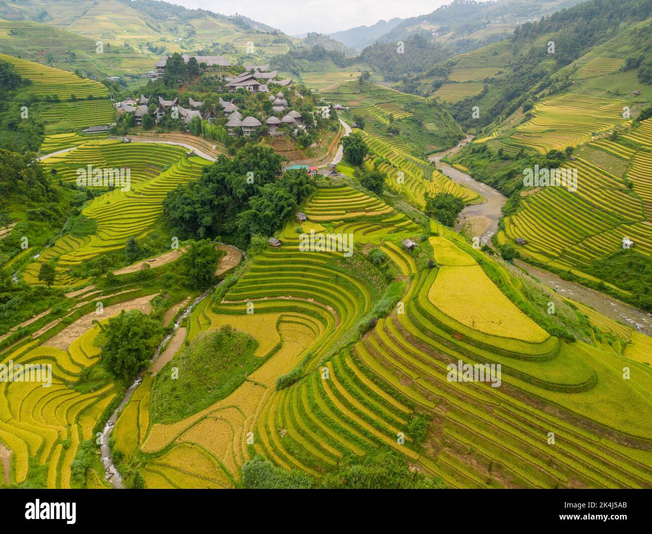 Aerial view of golden rice terraces at Mu cang chai town near Sapa city ...