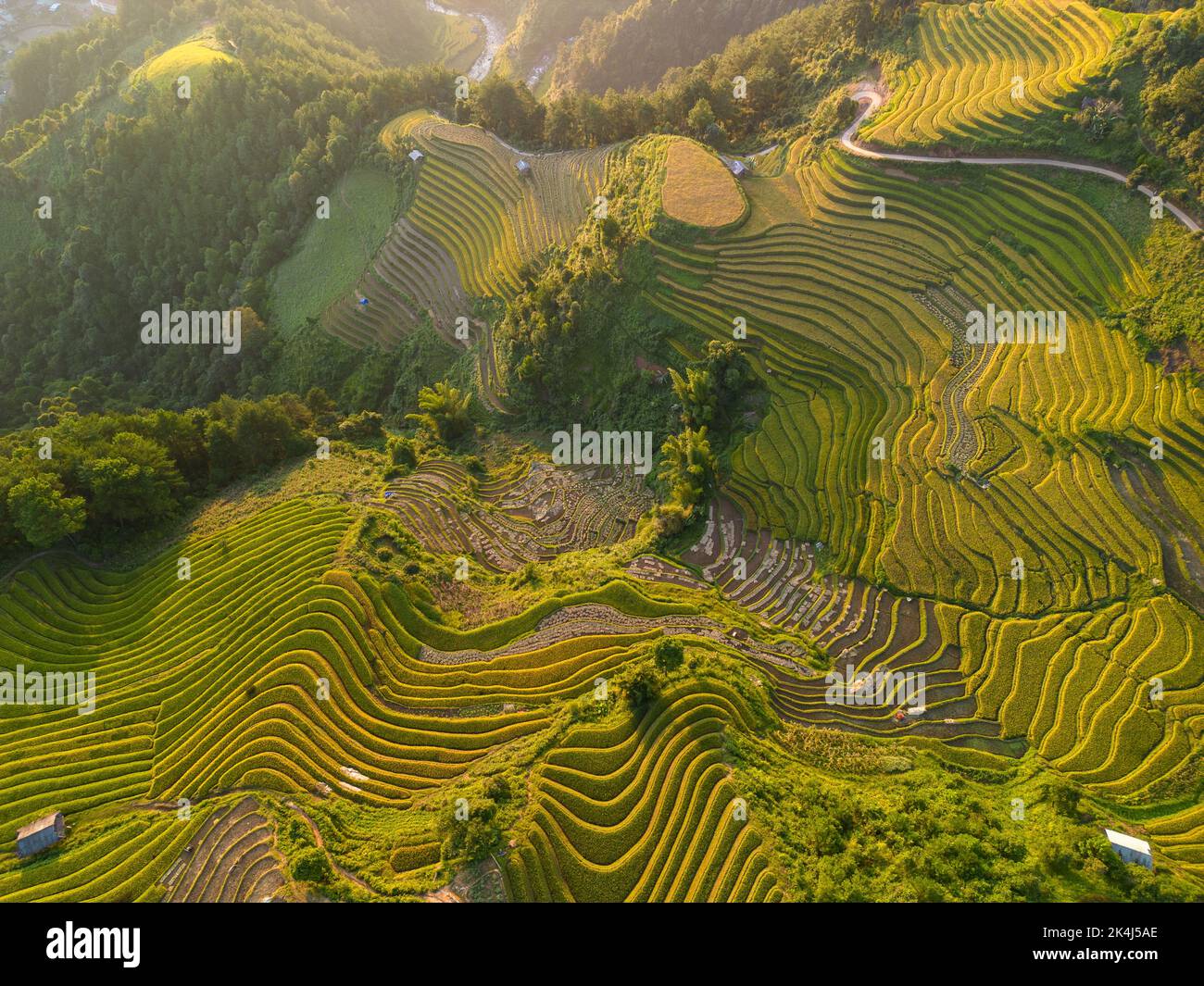 Aerial view of golden rice terraces at Mu cang chai town near Sapa city ...