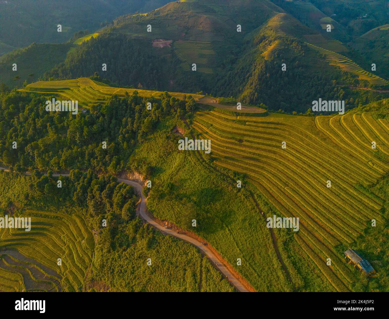 Aerial view of golden rice terraces at Mu cang chai town near Sapa city ...