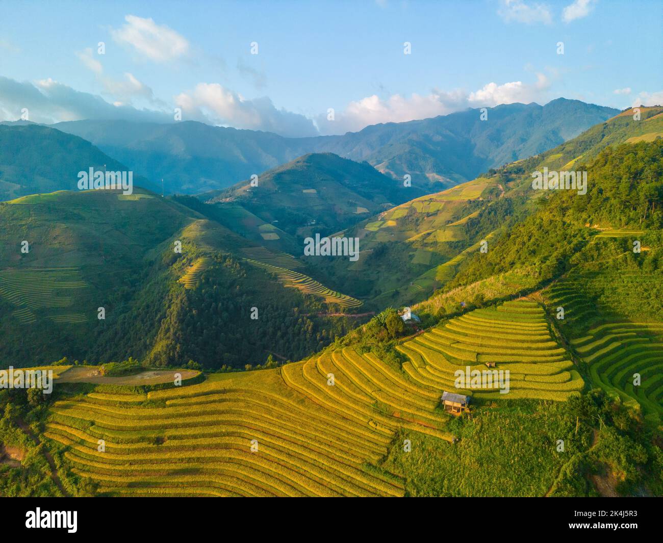 Aerial view of golden rice terraces at Mu cang chai town near Sapa city ...