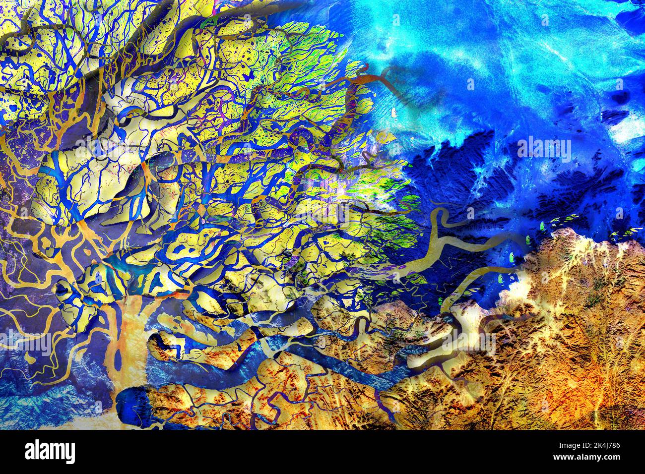Collage river delta with interweaving and layering of several layers in the shape of a tree crown. Satellite view. Elements of this image furnished by Stock Photo