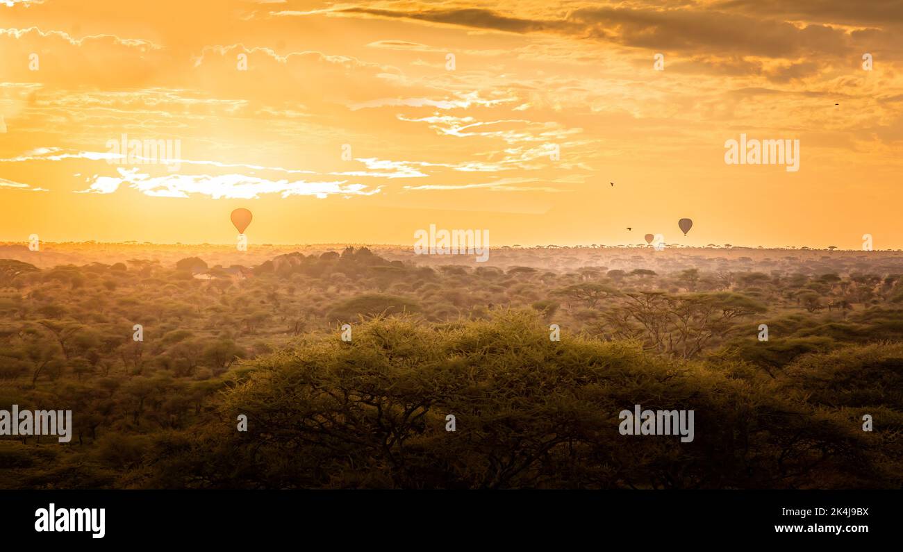 Scenic view over the Serengeti with hot air balloons in the sky at sunrise Stock Photo