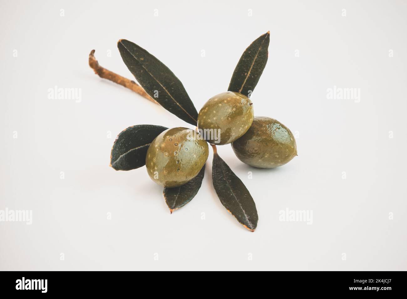 Green Olives Branch Isolated Stock Photo - Alamy