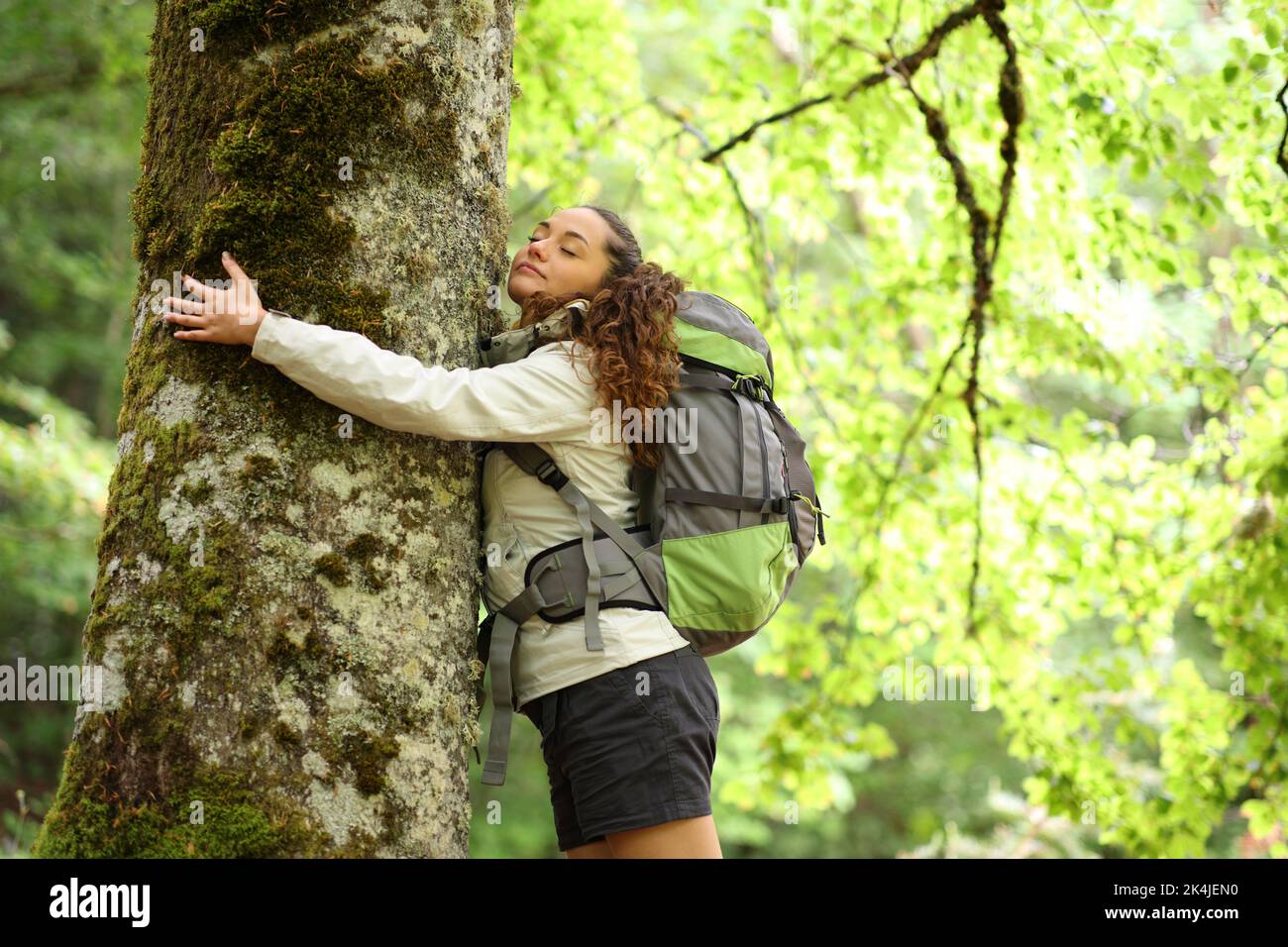 Hiker embracing a big tree in a forest Stock Photo