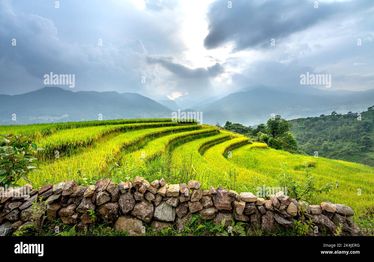 Admire stone fences and rice terraces in the northwestern mountains of Vietnam Stock Photo