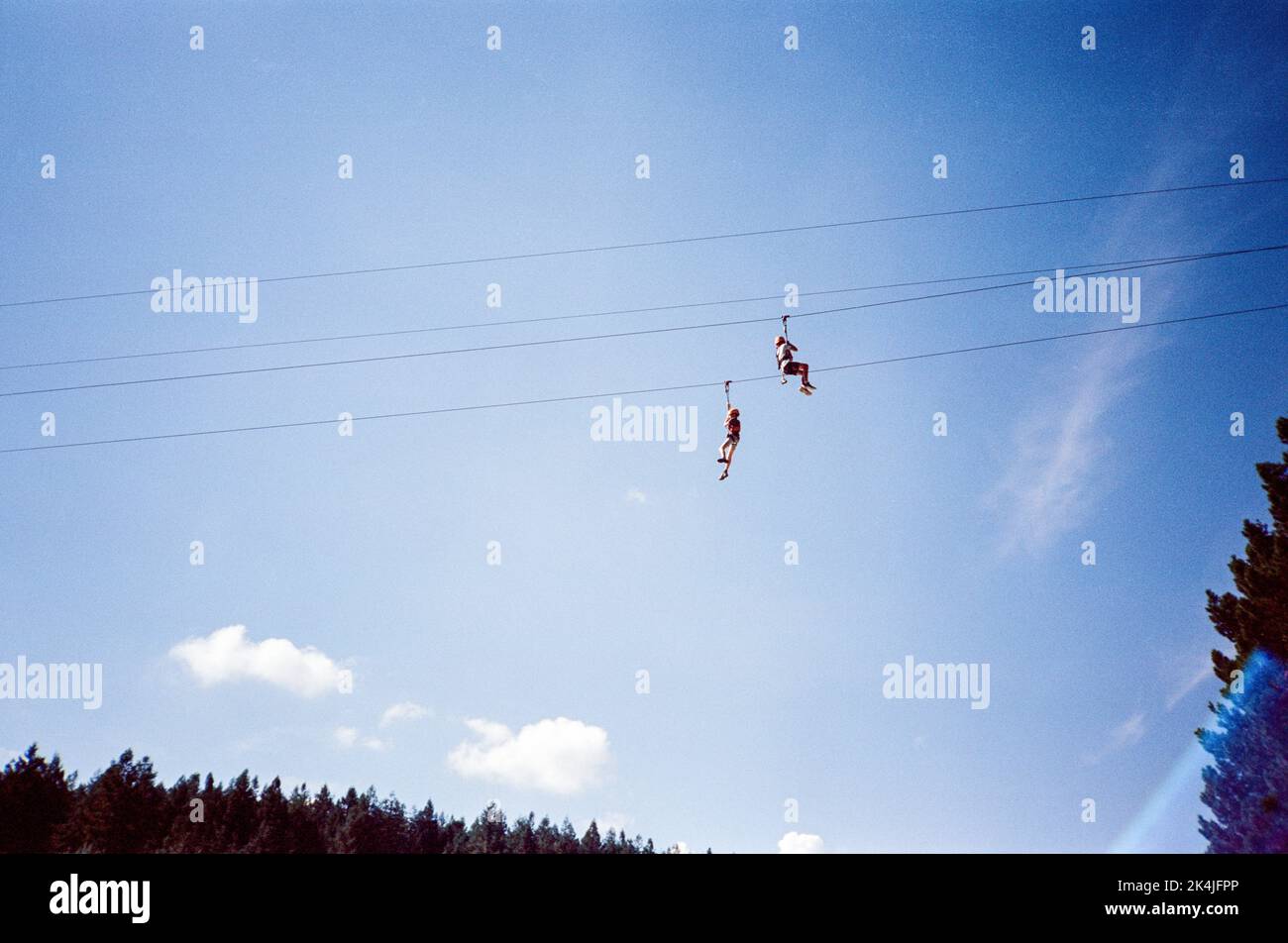 Zip wire at Centre Parcs Longleat, Wiltshire, England, United Kingdom Stock Photo
