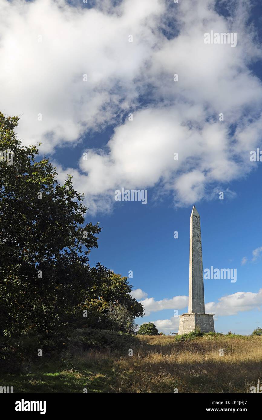 Wellington Monument, Somerset. UK Stock Photo