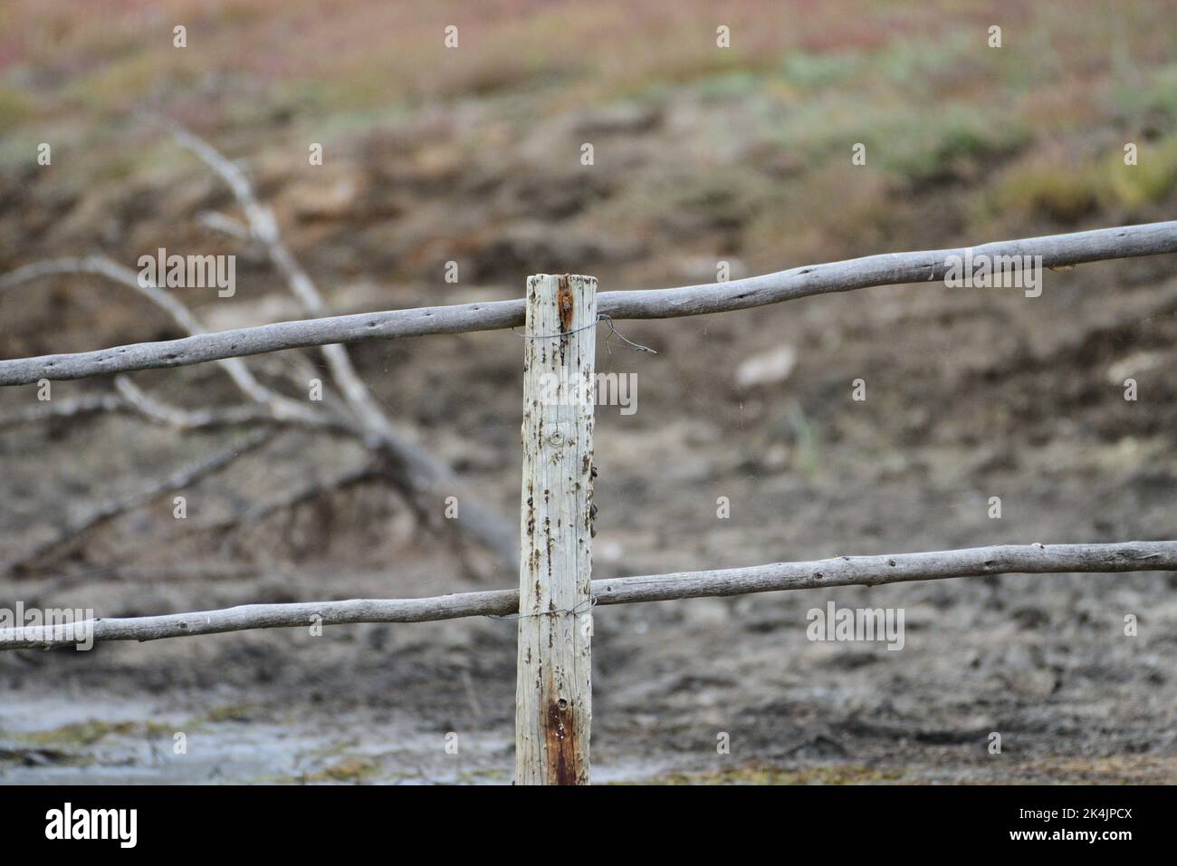 A closeup shot of an old wooden fence Stock Photo - Alamy