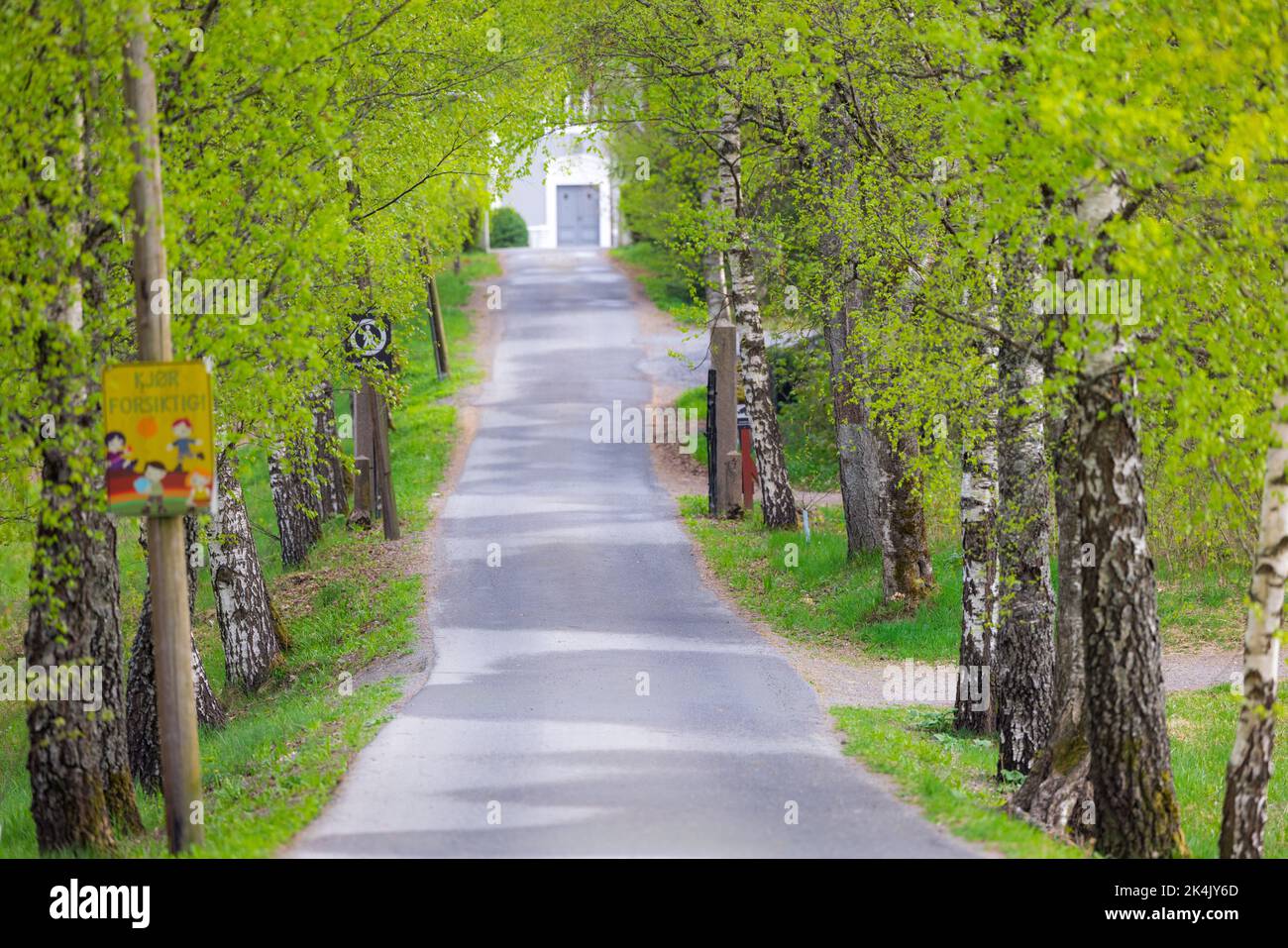 A scenic view of an asphalt road surrounded by green fresh trees in a ...
