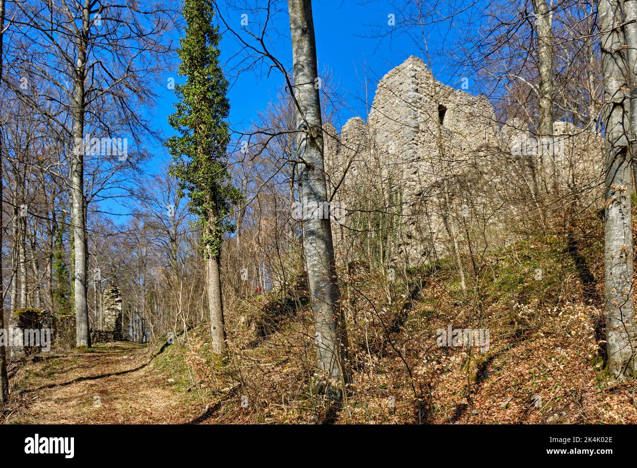 Hohenmelchingen Castle ruins in the Zollernalb region near Melchingen, Burladingen, Swabian Jura, Baden-Wurttemberg, Germany. Stock Photo