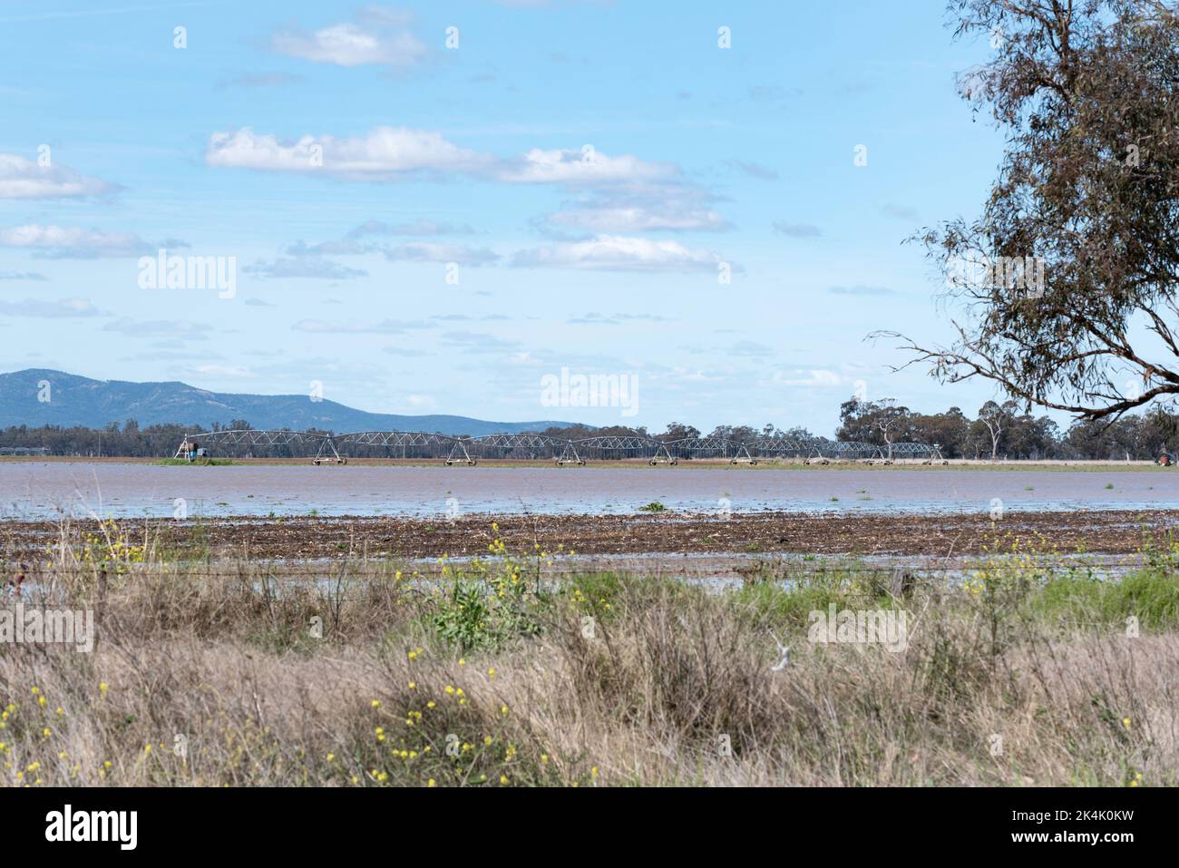 September 18, 2022, Kamilaroi Highway, Boggabri NSW, Australia: Flooded crop fields beside the road between Boggabri and Narrabri in north-western NSW. This and other nearby areas have been inundated after the Namoi River burst its banks. The road was being carefully monitored by local SES staff and was closed to all traffic later in the day due to increased water levels. Credit, Stephen Dwyer, Alamy Stock Photo