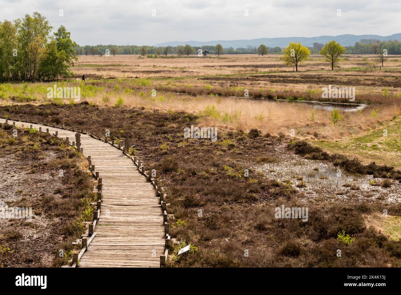 View over the moor landscape with a wooden boardwalk at the 'Großes Torfmoor' raised bog, Hille, Germany Stock Photo