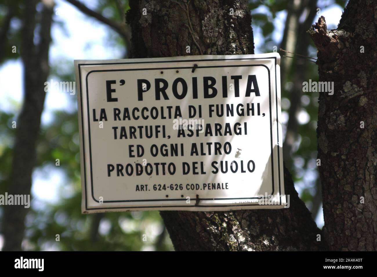Proibita, sign in Italian prohibiting the picking of mushrooms and other wild food products, Umbria, Italy Stock Photo