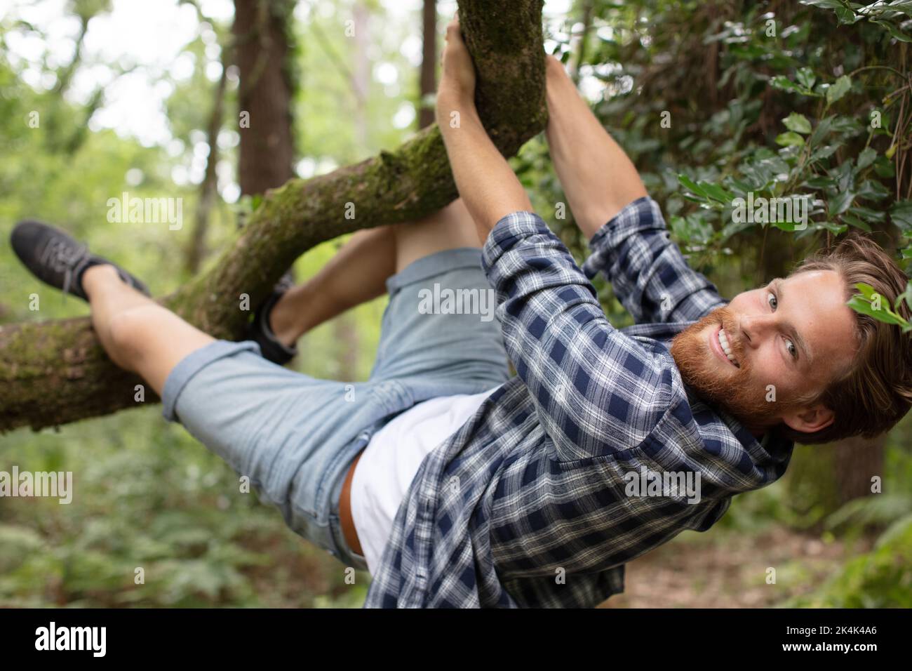 a man hugging a tree Stock Photo