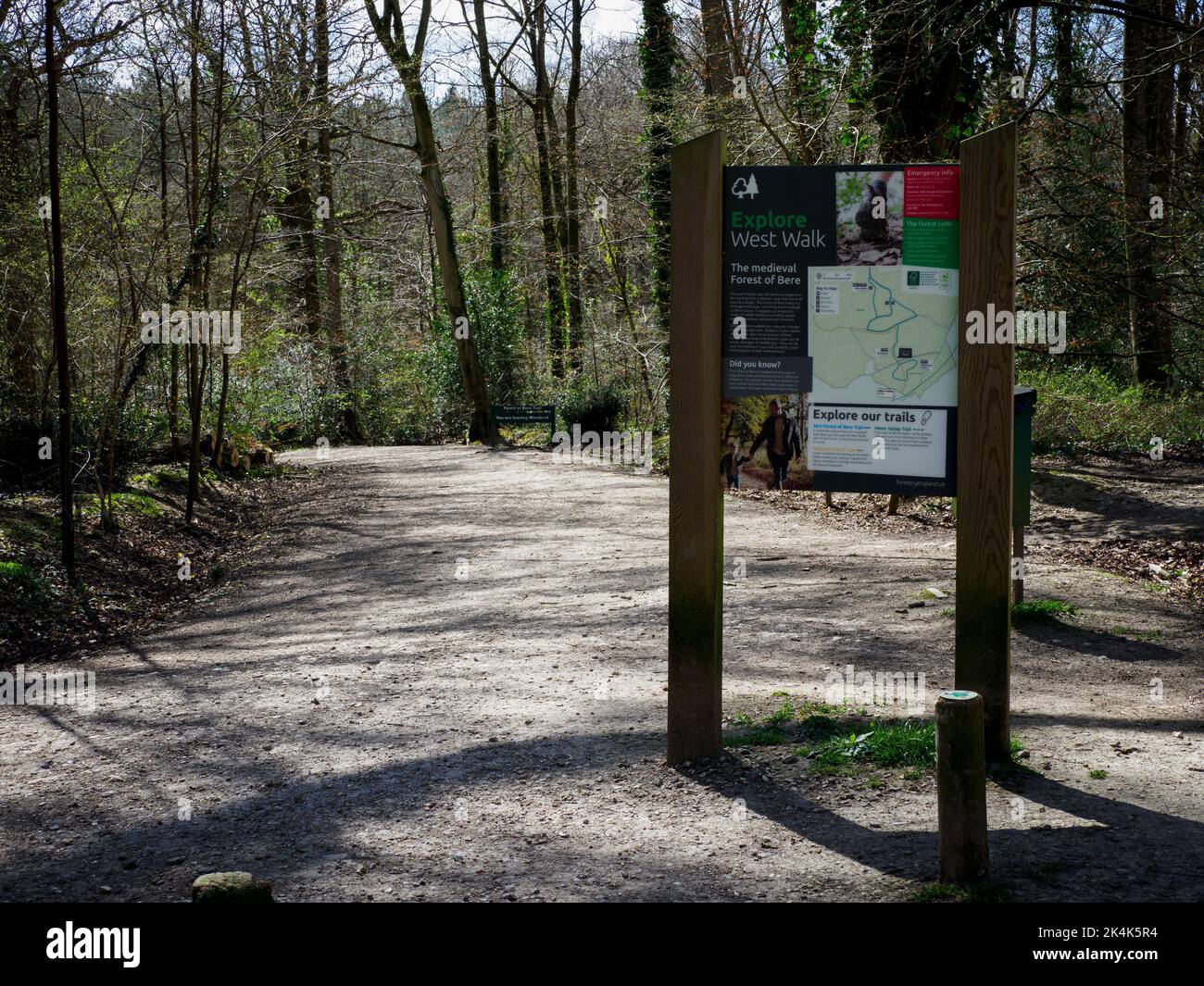 West walk, Forest of Bere, Fareham, Hampshire, UK Stock Photo