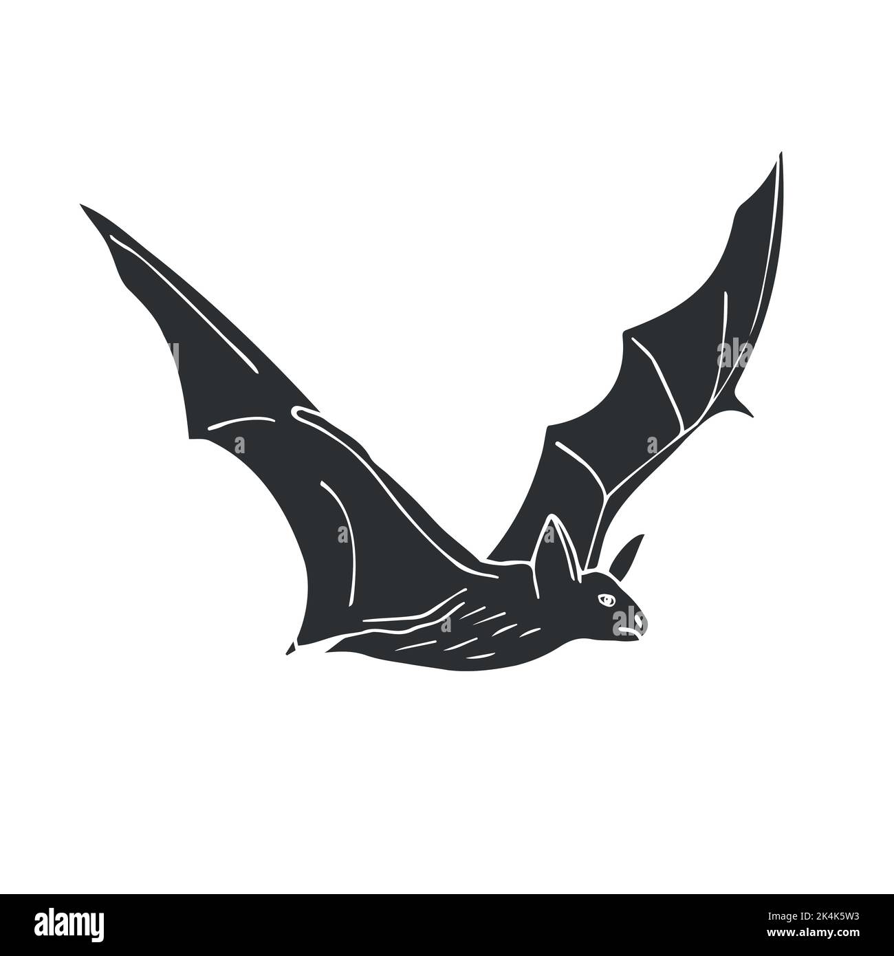 Vector hand drawn doodle sketch bat isolated on white background Stock ...