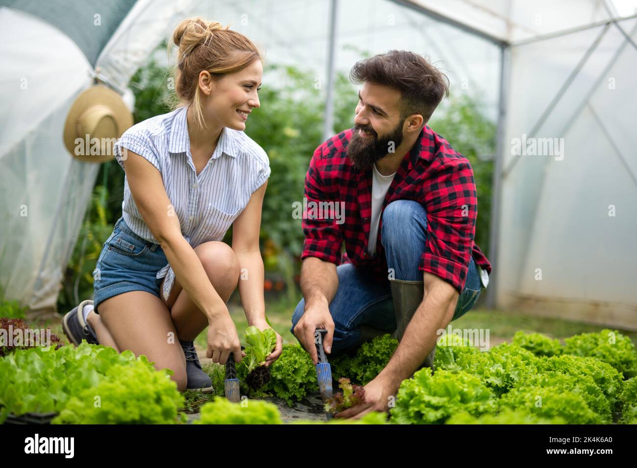 Happy young couple working in greenhouse, growing organic food. People bio food health concept Stock Photo