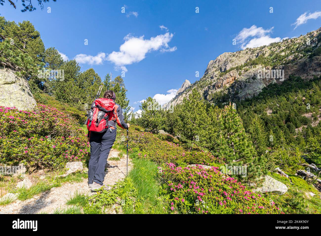 Lot De 2 Cartes De Randonnée - Parc Naturel De Posets-Maladeta : Aneto