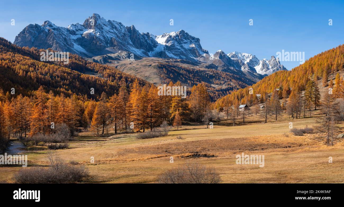 Claree Valley in Autumn colors. Larch trees in Vallee de la Claree. Cerces Massif, Nevache, Hautes Alpes. Alps, France Stock Photo