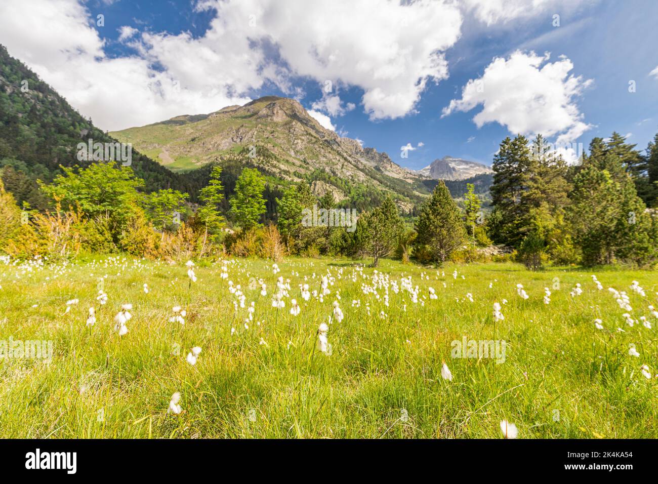 Benasque Valley, Natural Park of Posets-Maladeta, Benasque, Huesca, Spain Stock Photo