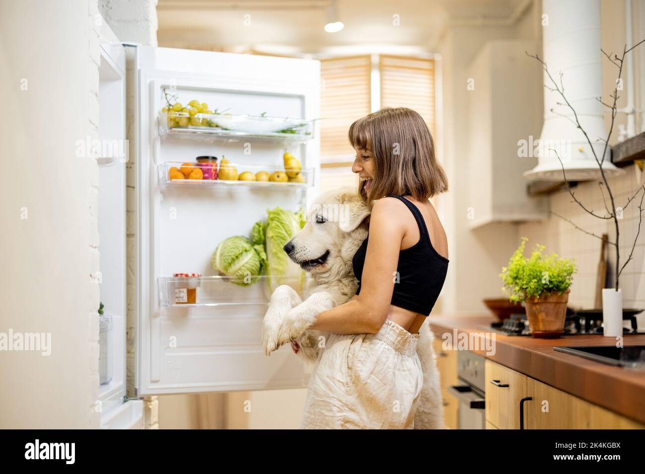 Woman with dog opens fridge filled with healthy food ingredients Stock