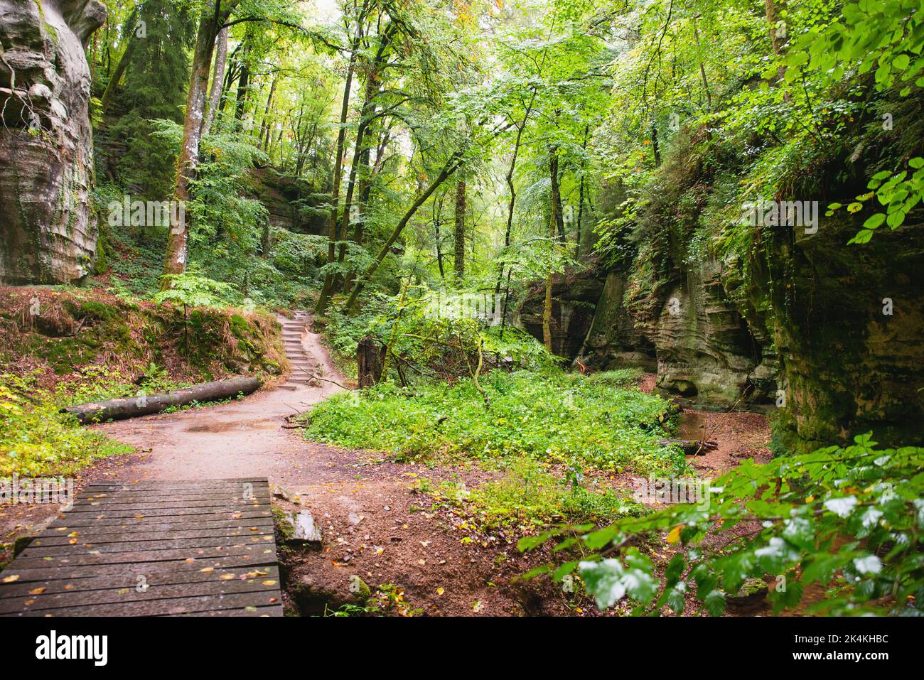 Mullerthal trail in Luxembourg between Echternach and Berdorf, hiking through a forest with sandstone rock formations Stock Photo