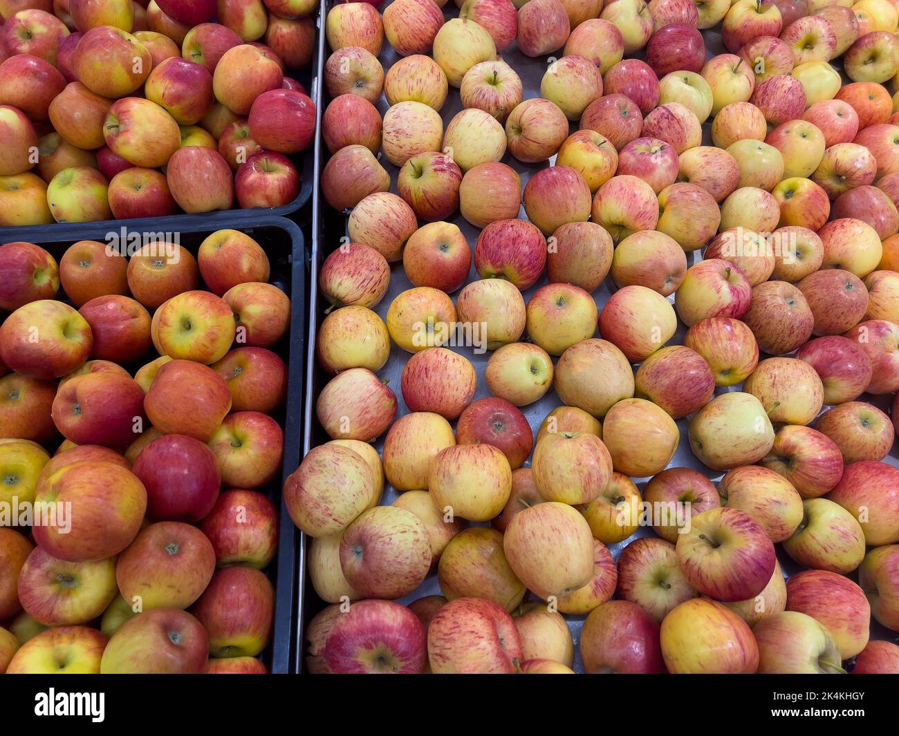 Fresh ripe red apples for sale on display at the fruits section in a