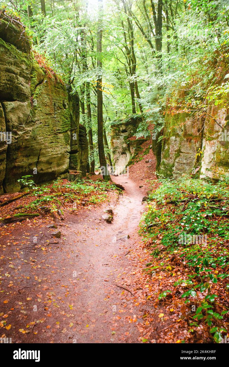 Mullerthal trail in Luxembourg between Echternach and Berdorf, hiking through a forest with sandstone rock formations Stock Photo