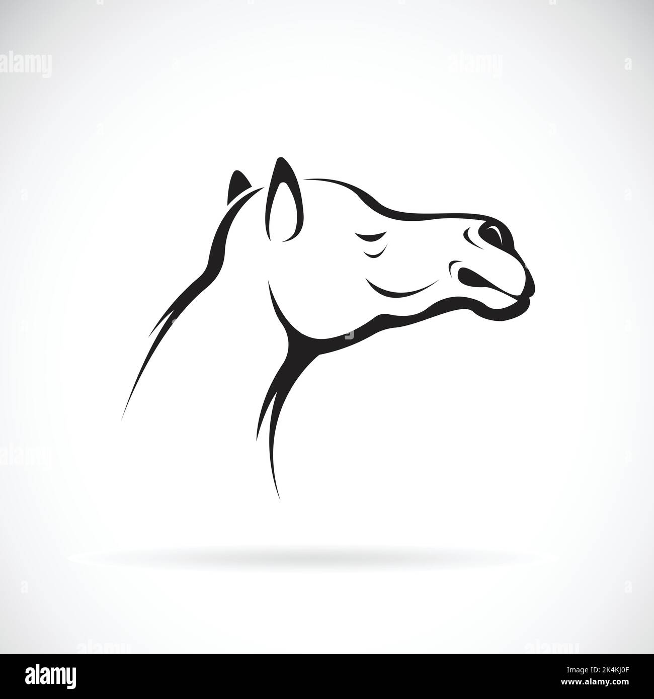 Vector of a camel head on white background, Easy editable layered vector illustration. Wild Animals. Stock Vector