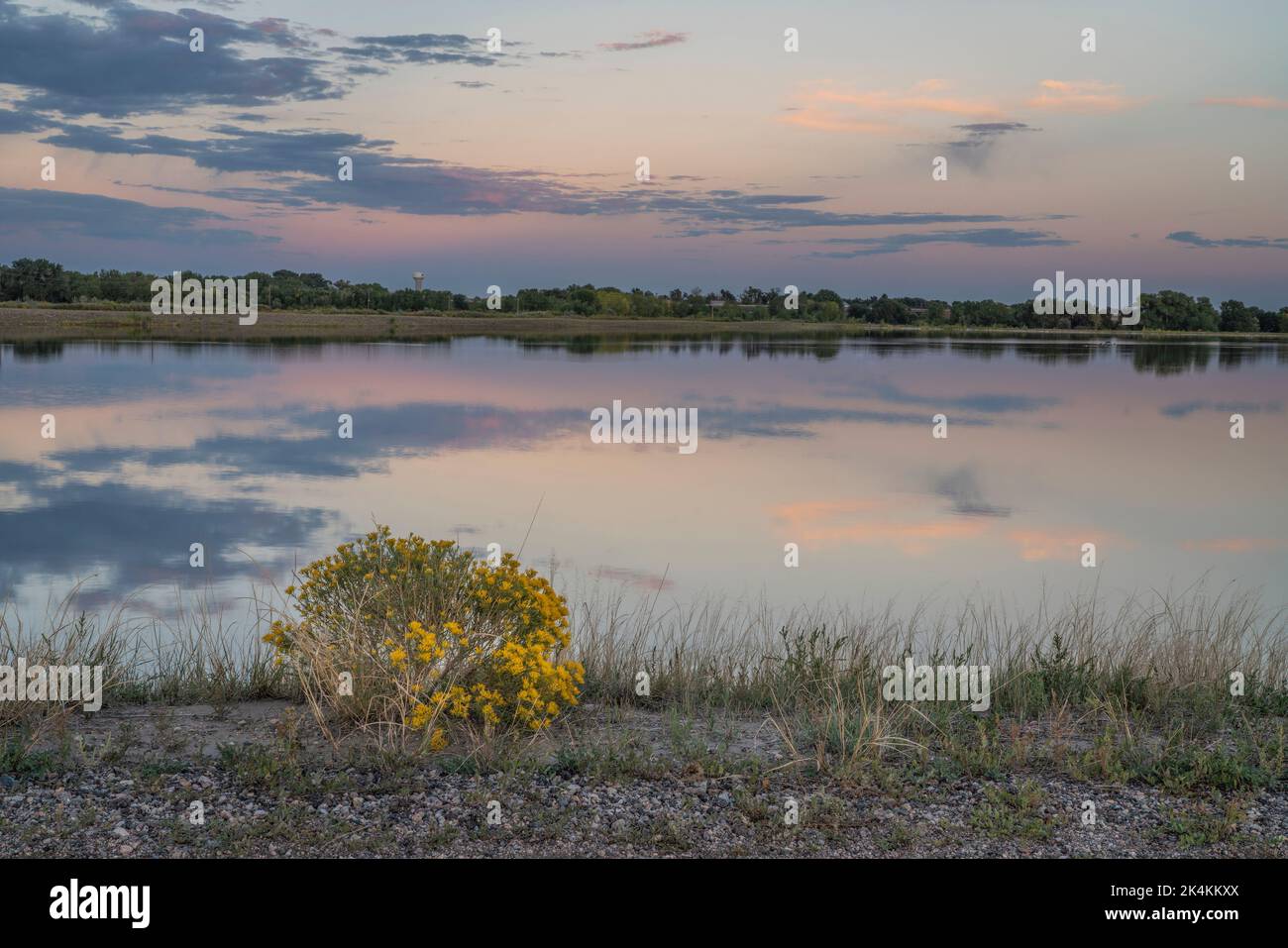 dusk over lake in Colorado back country with rabbit brush bush, fall scenery in Arapaho Bend Natural Area Stock Photo