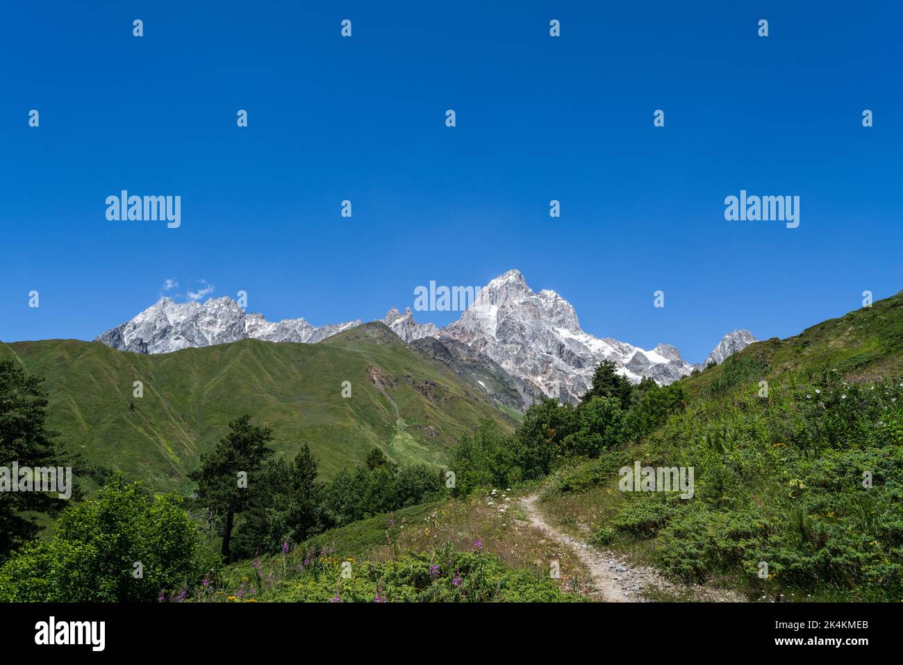 Ushba mountain (4710m high) in Upper Svaneti, Georgia. View from Guli valley. Stock Photo