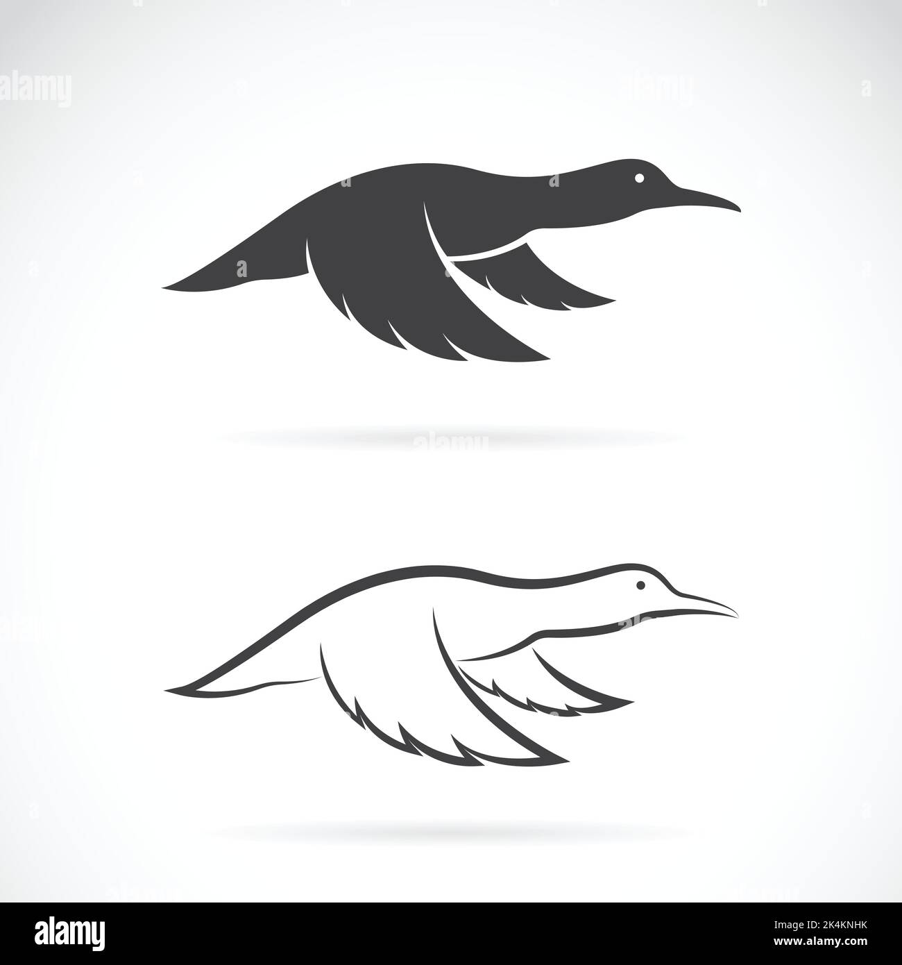 Vector image of flying wild duck on white background. Easy editable layered vector illustration. Wild Animals. Stock Vector