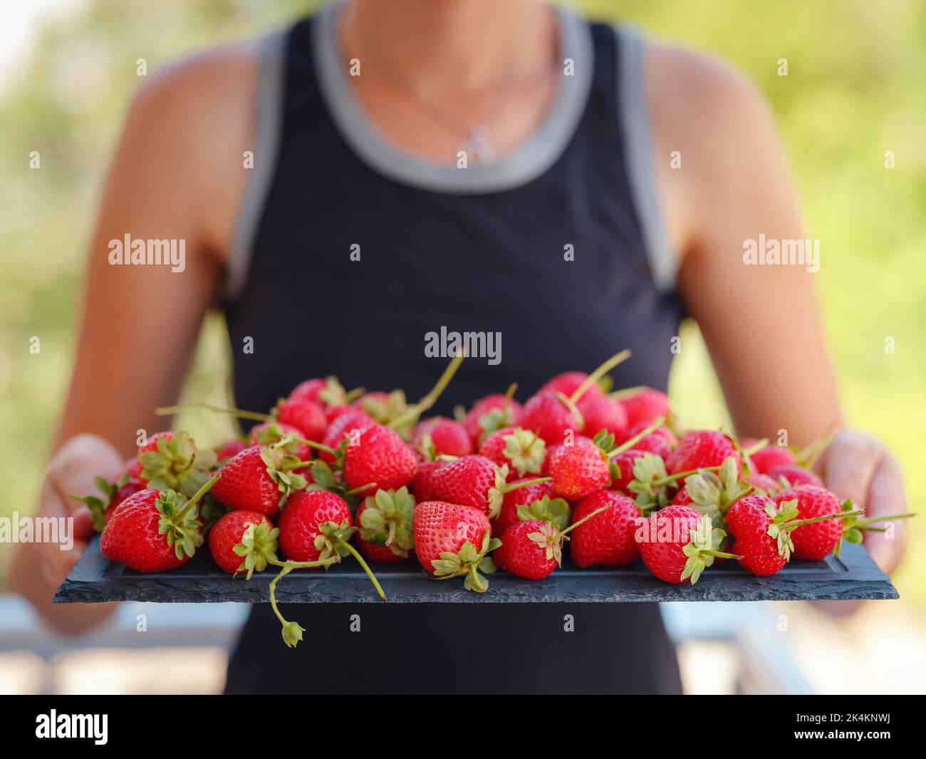 Fresh organic strawberries. Woman holding fresh strawberries in hands ...