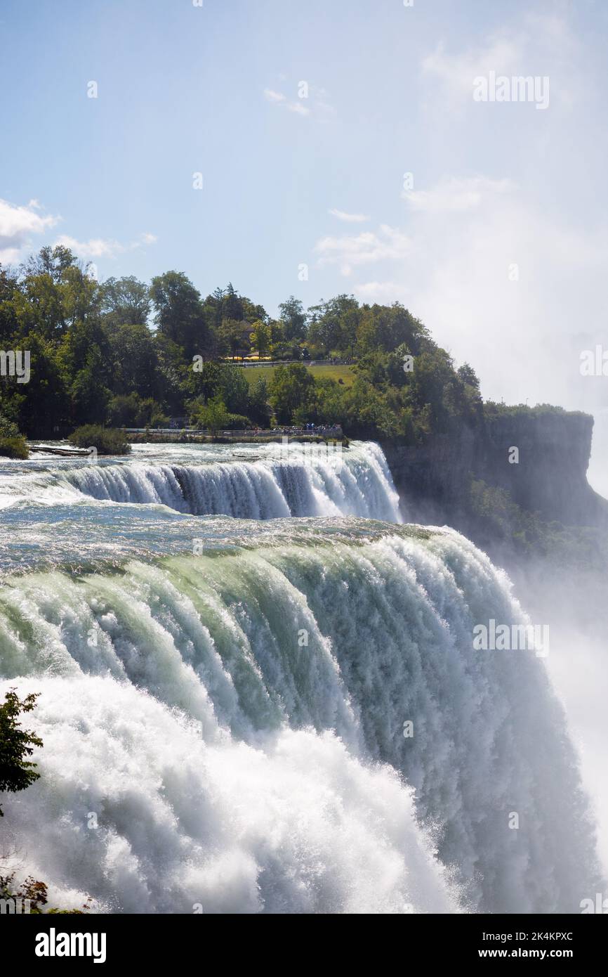A raging waterfalls surrounded by trees Stock Photo - Alamy