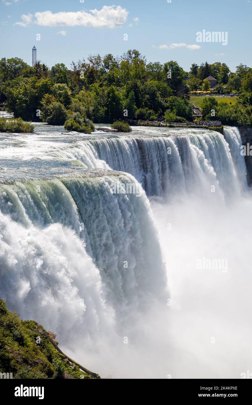 A raging waterfalls surrounded by trees Stock Photo - Alamy