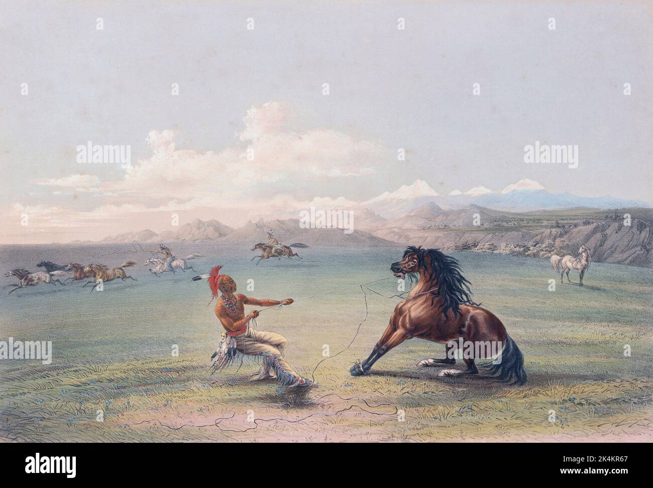 Catching the Wild Horse. From Catlin's North American Indian Portfolio, published in London, 1844 by the artist, American adventurer George Catlin, 1796 - 1872.  During many journeys Catlin recorded with pen and brush the customs and life-styles of Native American tribes. Stock Photo
