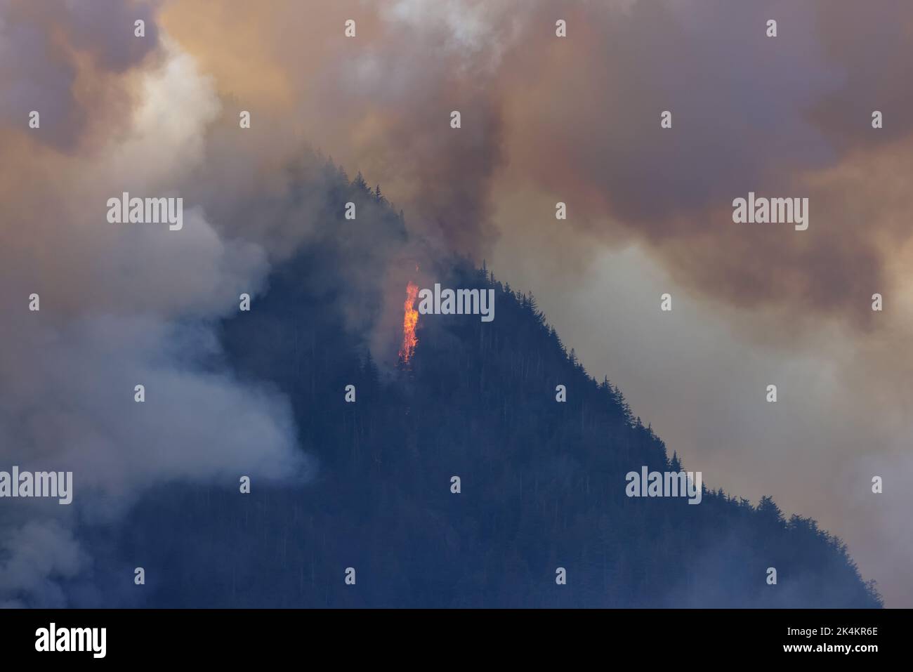 BC Forest Fire and Smoke over the mountain near Hope Stock Photo - Alamy
