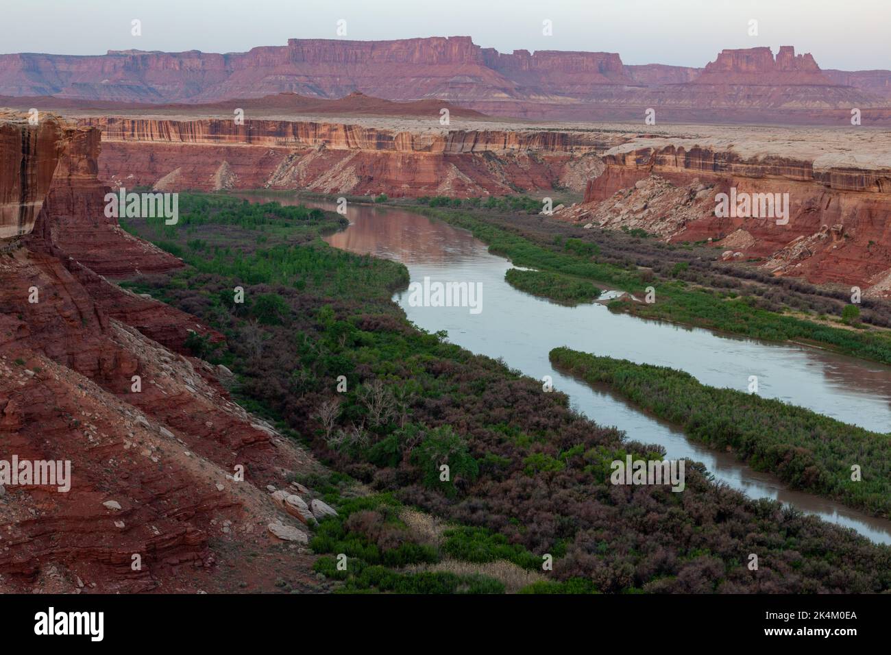 Predawn view across the Green River in Stillwater Canyon from the White ...