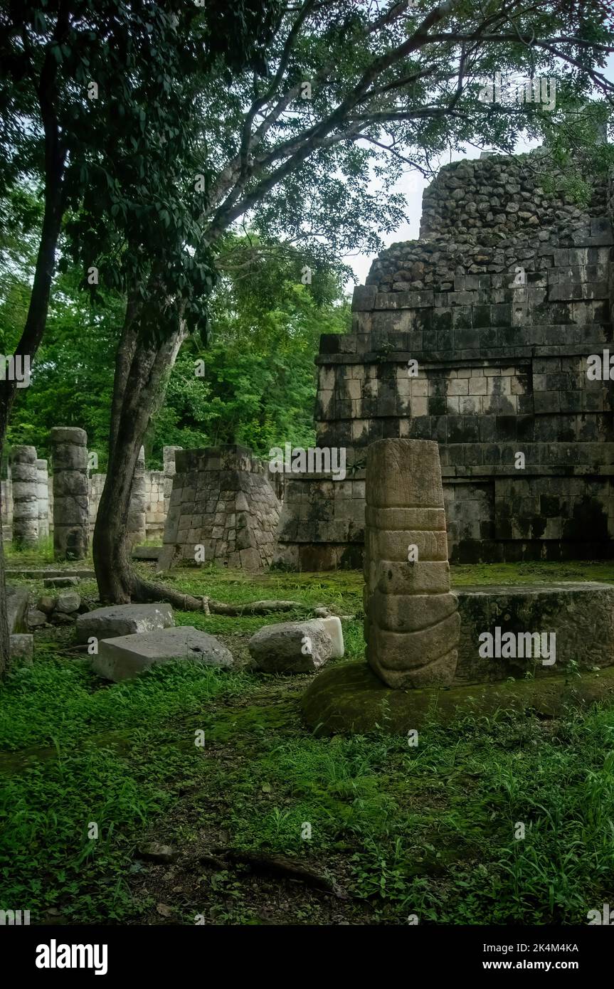 mayan pyramids in mexico, stone construction, surrounded by vegetation, deep jungle Stock Photo