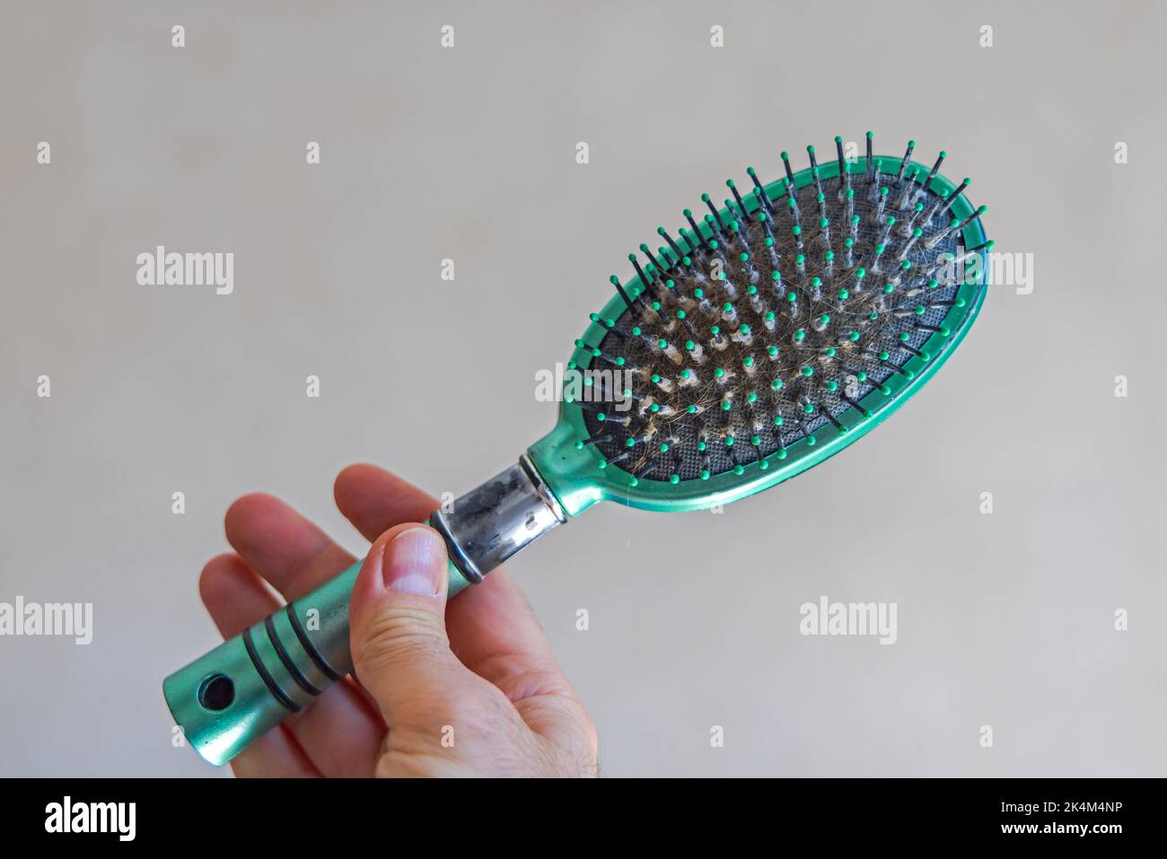 Green Plastic Hair Brush Holding in Man Hand Stock Photo Alamy