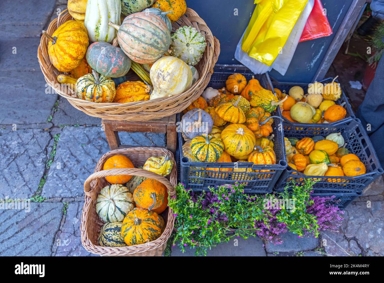 Variety gourds farmers market hi-res stock photography and images - Alamy