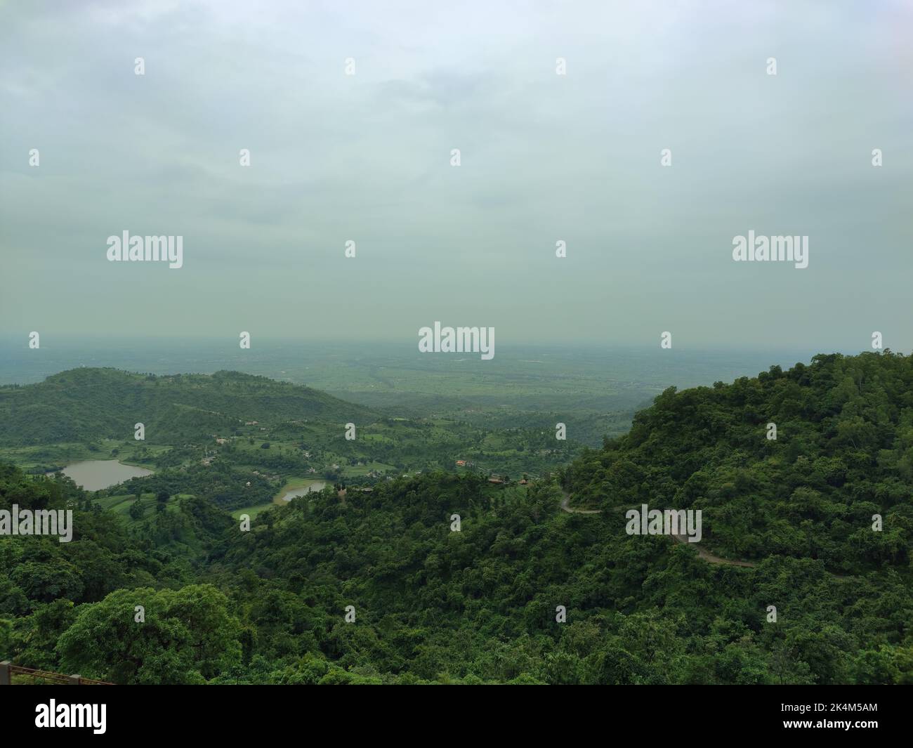 An aerial view of the forested mountains on a foggy day Stock Photo - Alamy