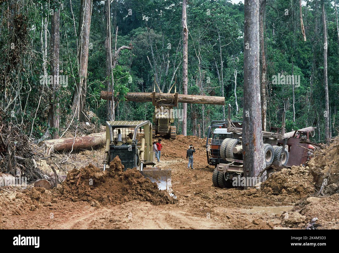 Malaysia. Sabah. Logging concession. Bulldozer clearing site. Stock Photo