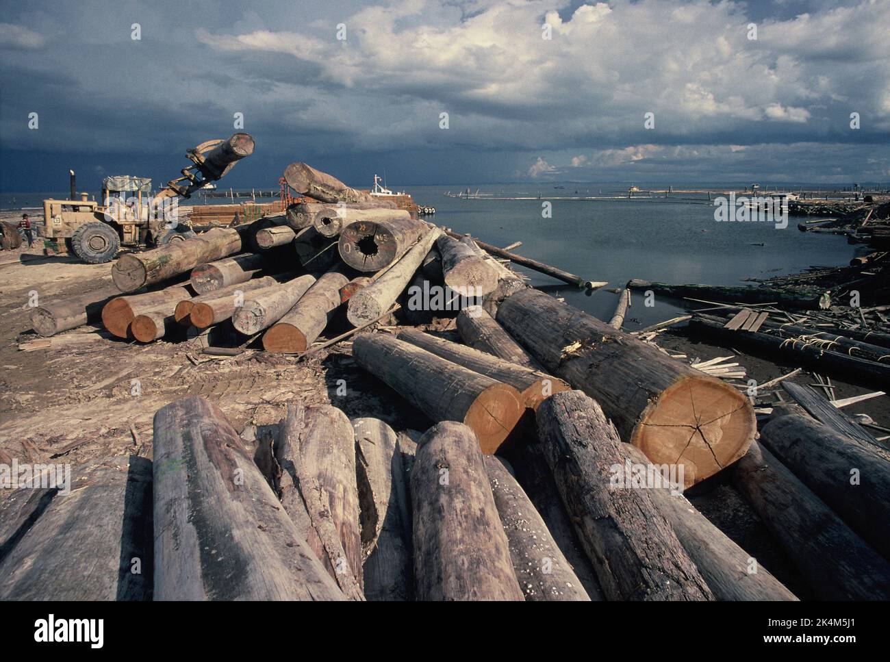 Malaysia. Sabah coast. Logging industry. Vehicle stacking logs on quayside. Stock Photo