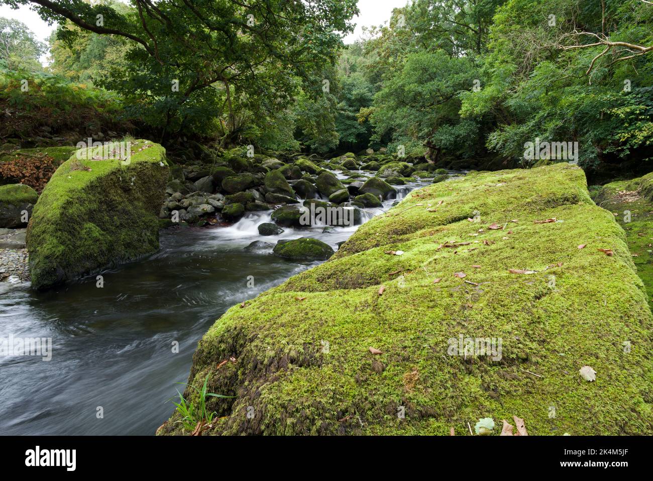 The River Ogwen runs through northern Snowdonia into the Menai Strait. Here it is seen in a wooded valley near Tregarth. Stock Photo