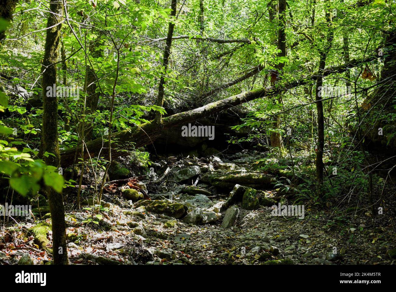 Dried creek bed hi-res stock photography and images - Alamy - Dried Creek Bed Photography