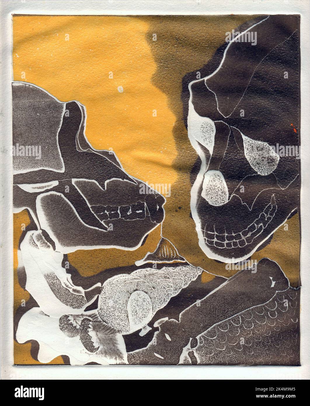 1 of 4 etchings showing two gorilla/ hominid skulls, suitable for book cover magazine editorial, evolution, biology, zoology, history, anthropology. Stock Photo