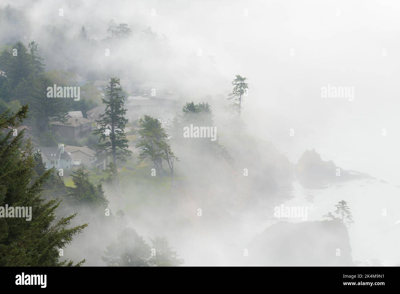 Fog rolling in from the ocean and envelops a costal community with fir trees rising into the mist Stock Photo