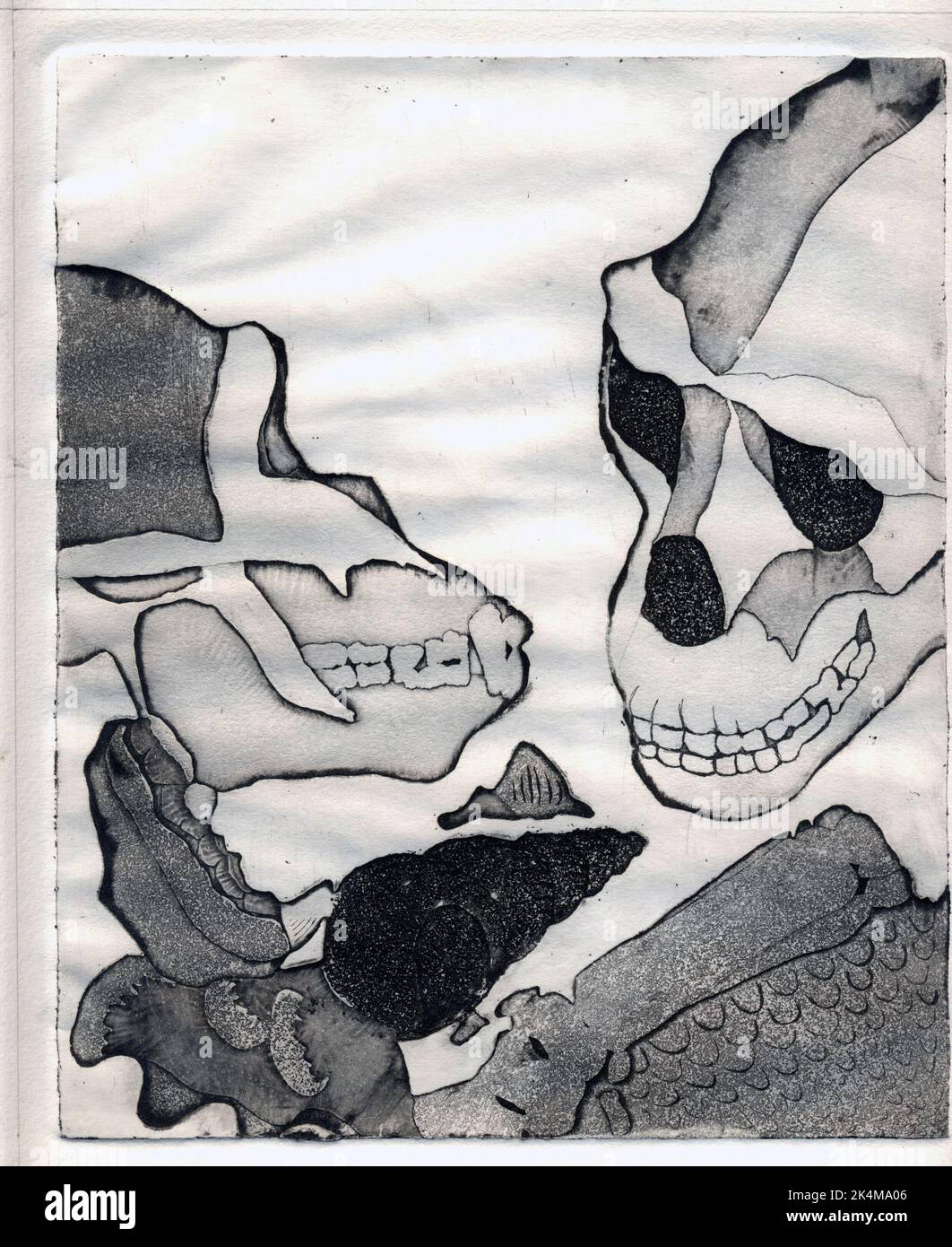 2 of 4 etchings showing two gorilla /hominid skulls, suitable for book cover, magazine art, evolution, biology, zoology, anthropology, history gothic Stock Photo